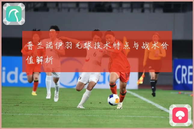普兰诺伊羽毛球技术特点与战术价值解析