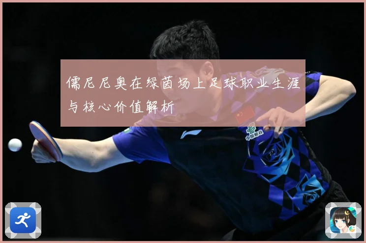 儒尼尼奥在绿茵场上足球职业生涯与核心价值解析