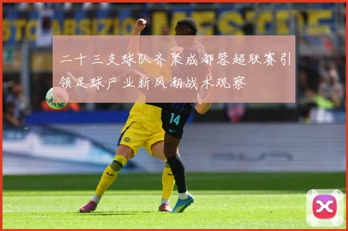 二十三支球队齐聚成都蓉超联赛引领足球产业新风潮战术观察