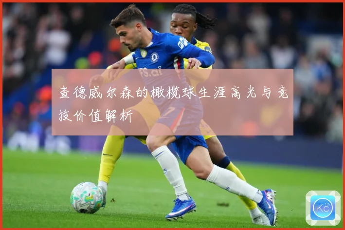 查德威尔森的橄榄球生涯高光与竞技价值解析