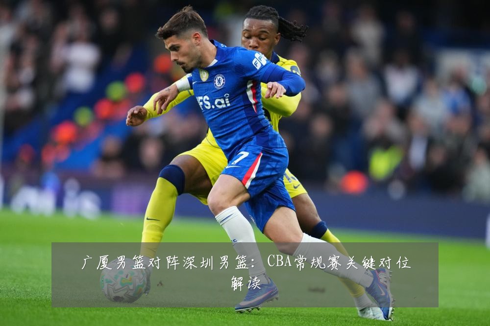 广厦男篮对阵深圳男篮：CBA常规赛关键对位解读