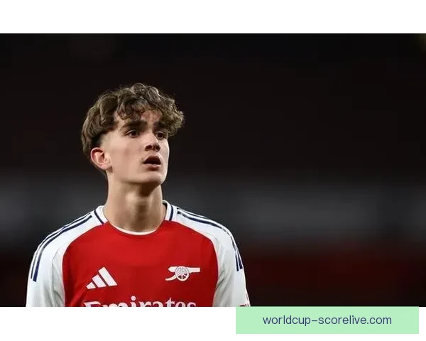 阿森纳半场落后南安普顿本怀特失误助攻斯图尔特破门 阿森纳半场落后南安普顿本怀特失误助攻斯图尔特破门